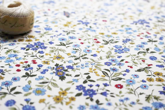 Jc 春の小花 ブルー